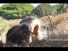 פעור מקועקעים משפריצים פנים סרטים לצפייה ישירה בחינם סקס כנופיות